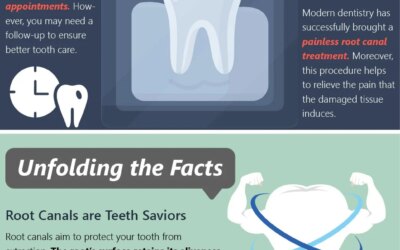 Shedding Light on the Myths and Facts about The Root Canals